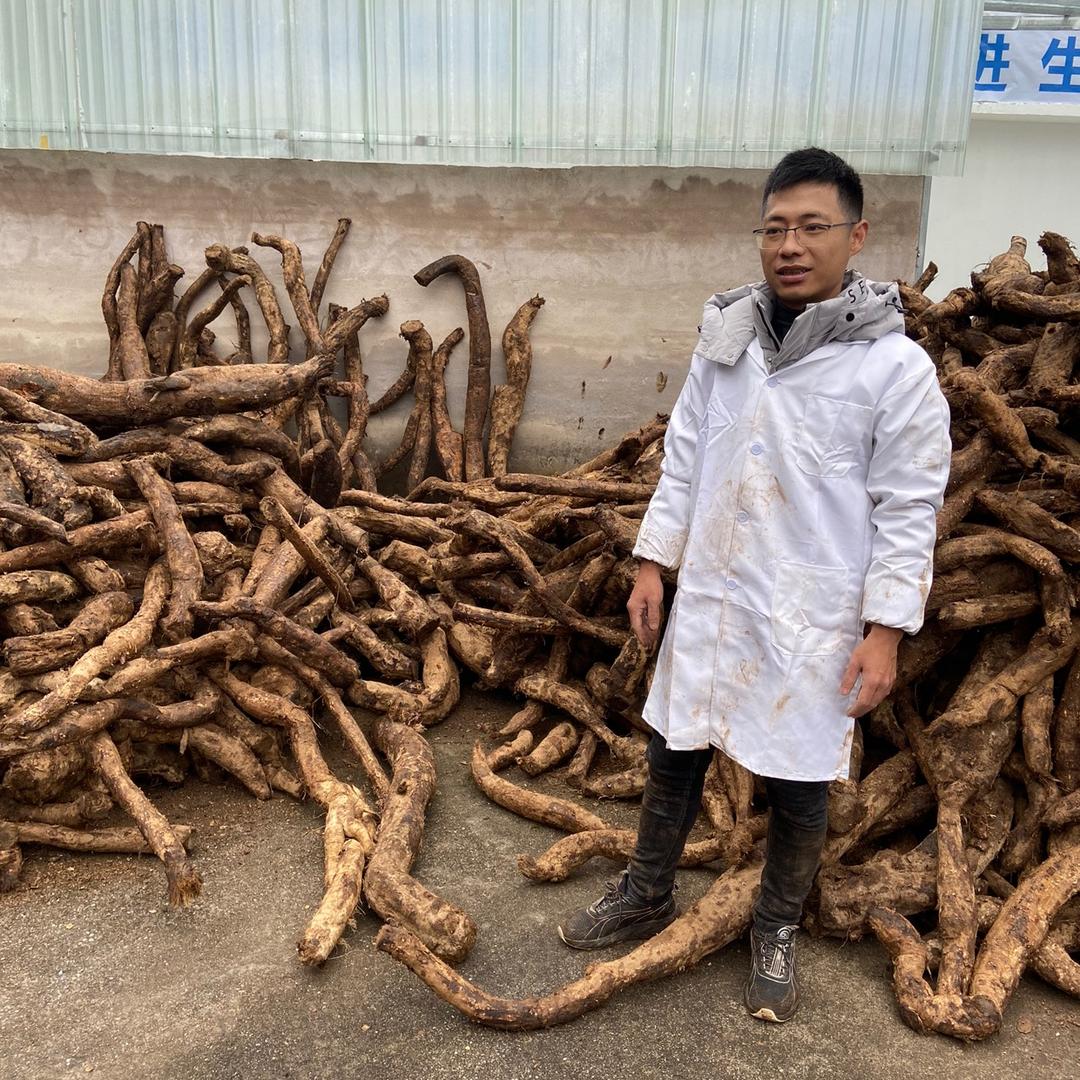 江葛葛业 文龙