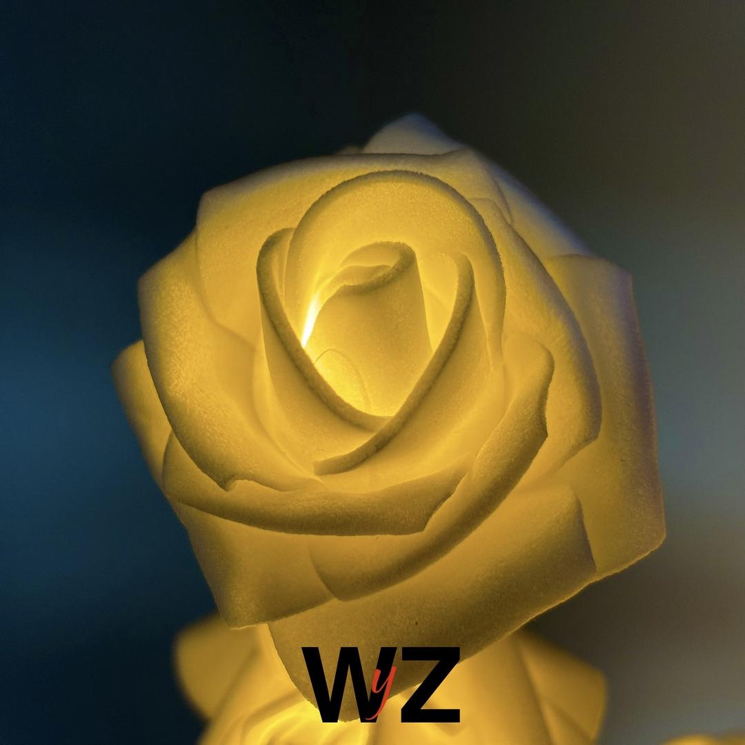 WZ‘-映影（客服）