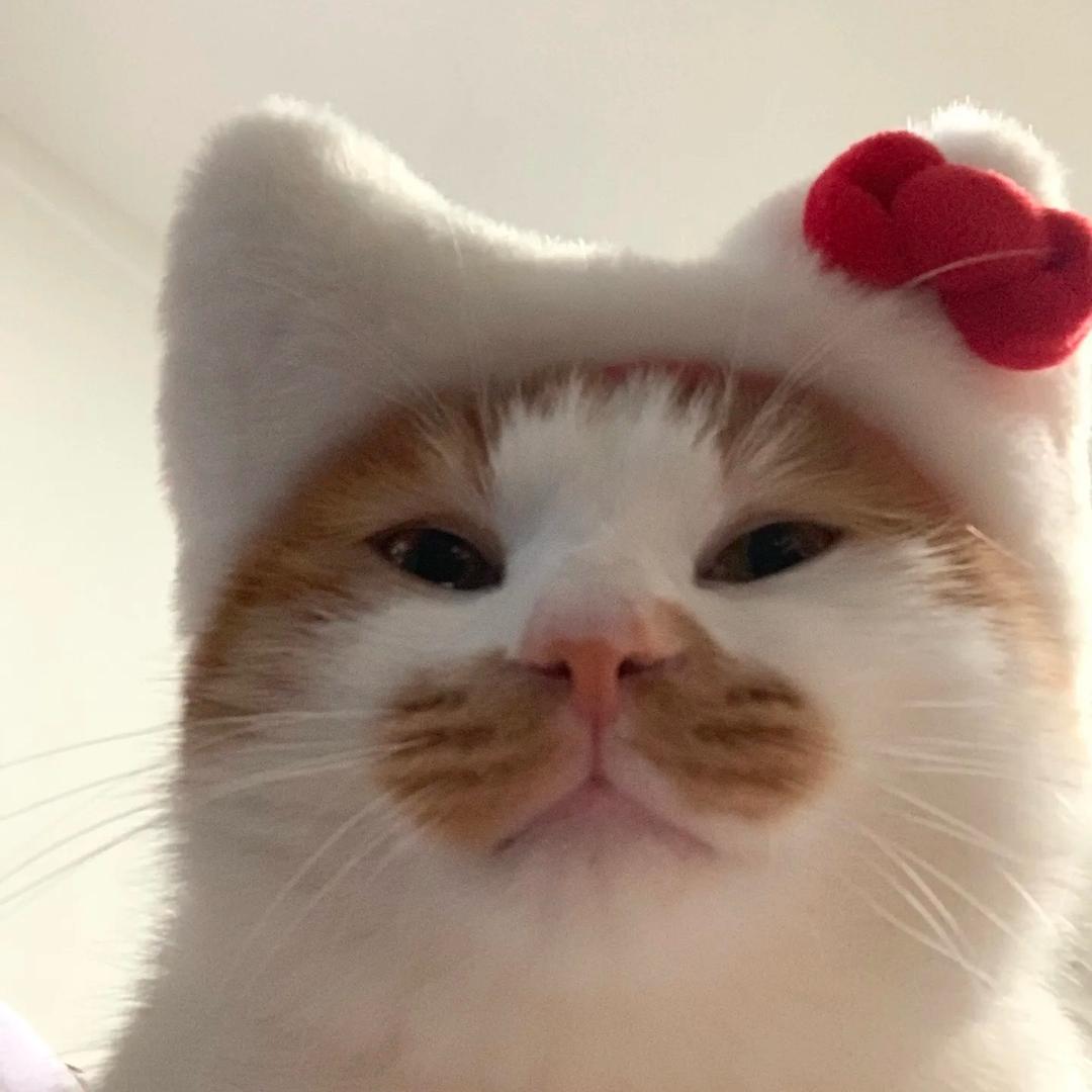 咪酱