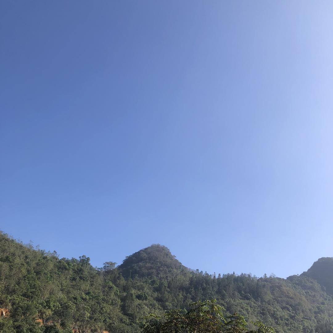 我的心酸无人体会🌷🪸💐