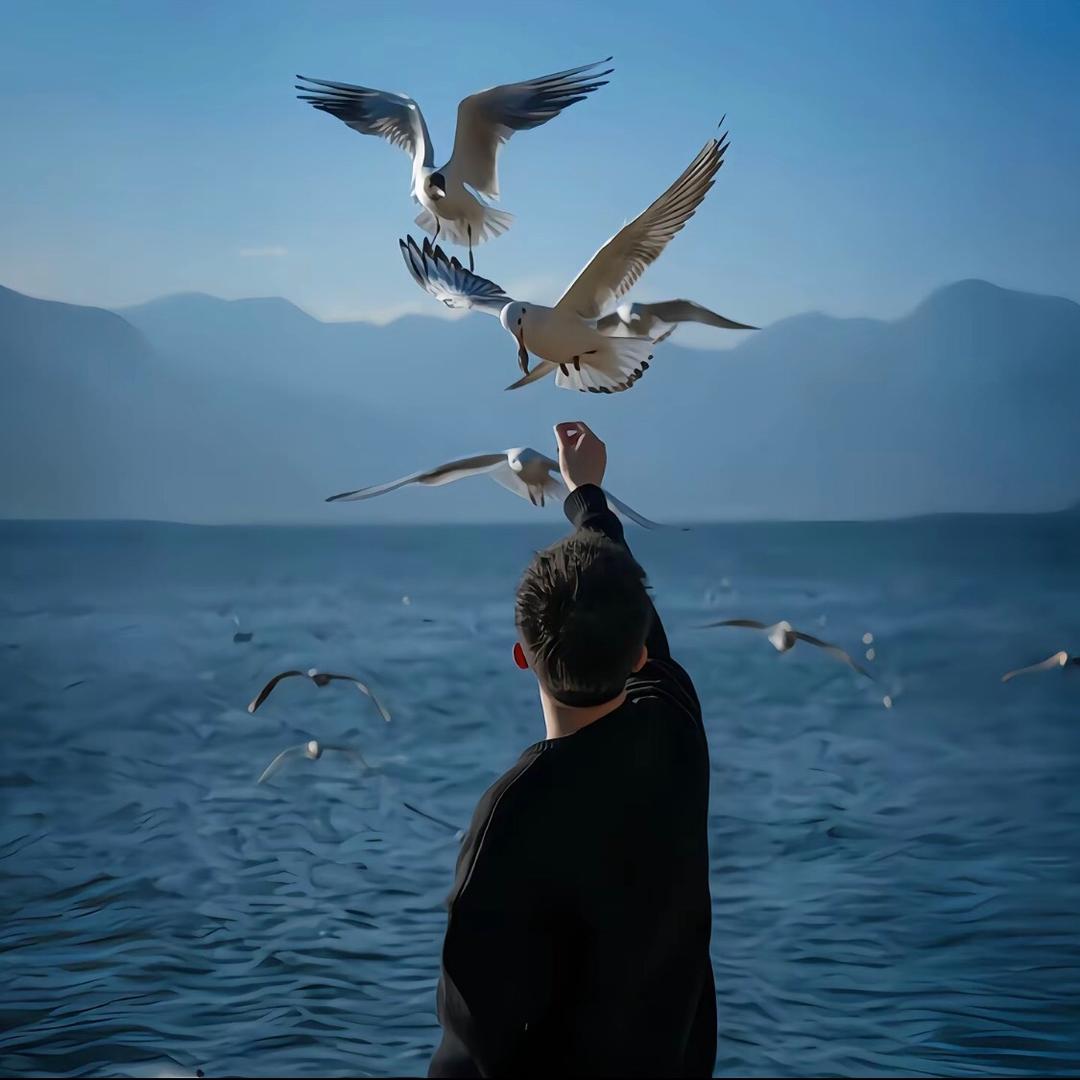 会飞的悟空