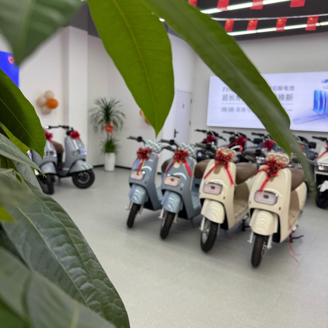 雅迪（东城馨苑）