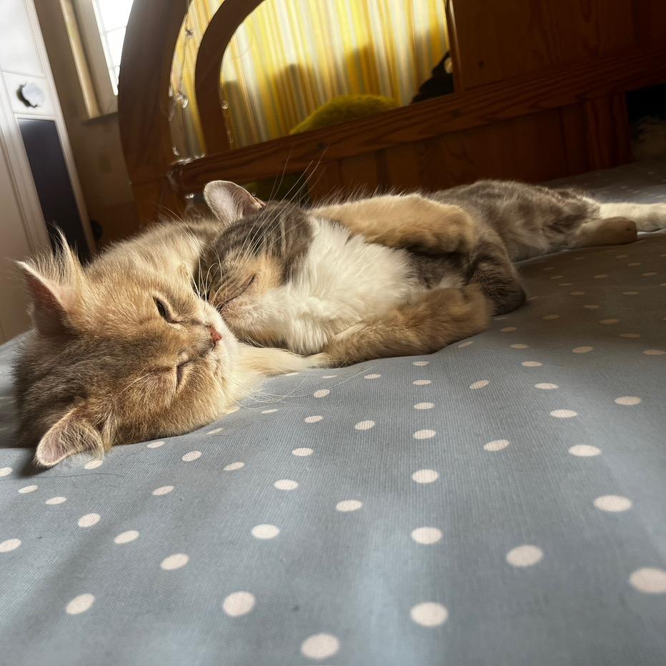 A@阿拉蕾❤️呀