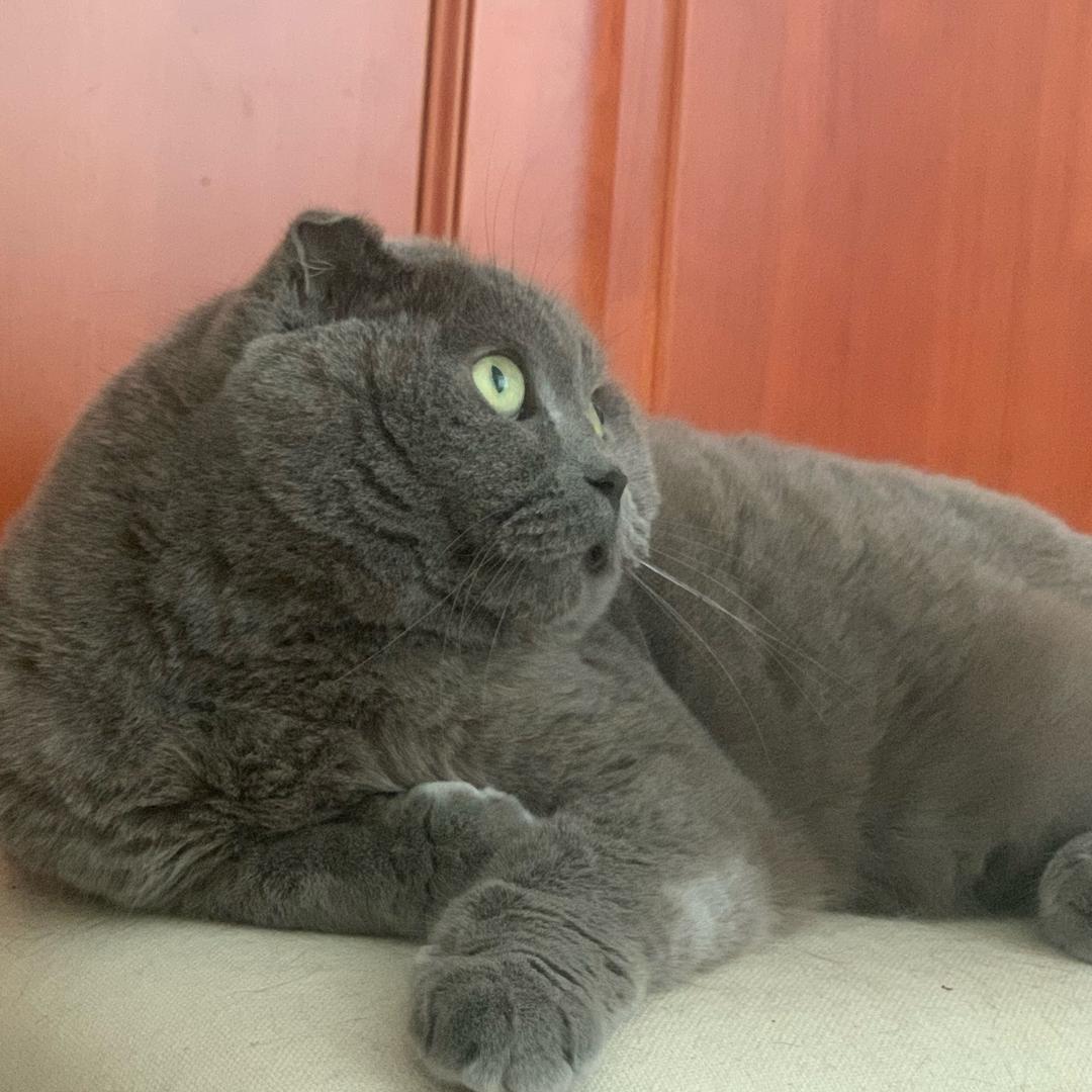 三之日夕