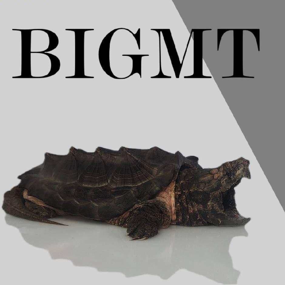 BIGMT（龟来屋）