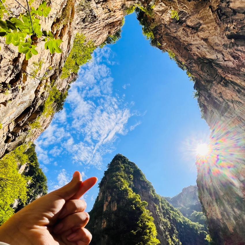 ღ🍒 晓珍☄᭄࿐