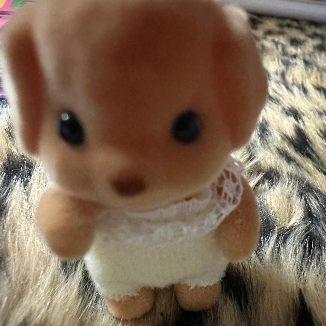 我要早睡