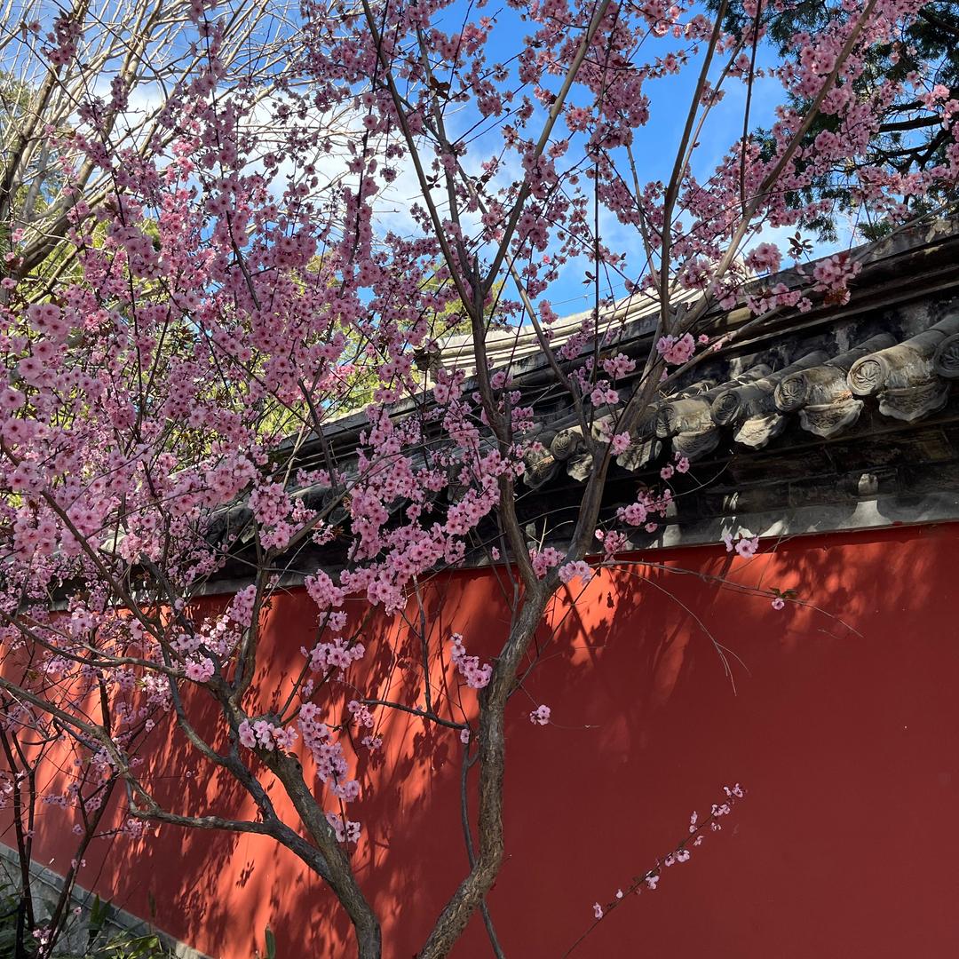 卖火柴的小火子🎉