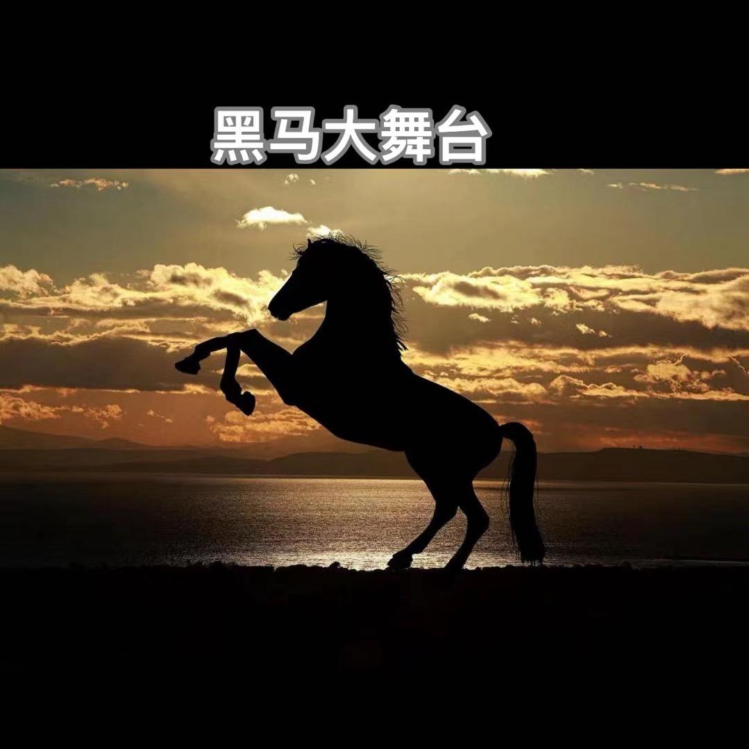 黑马大舞台