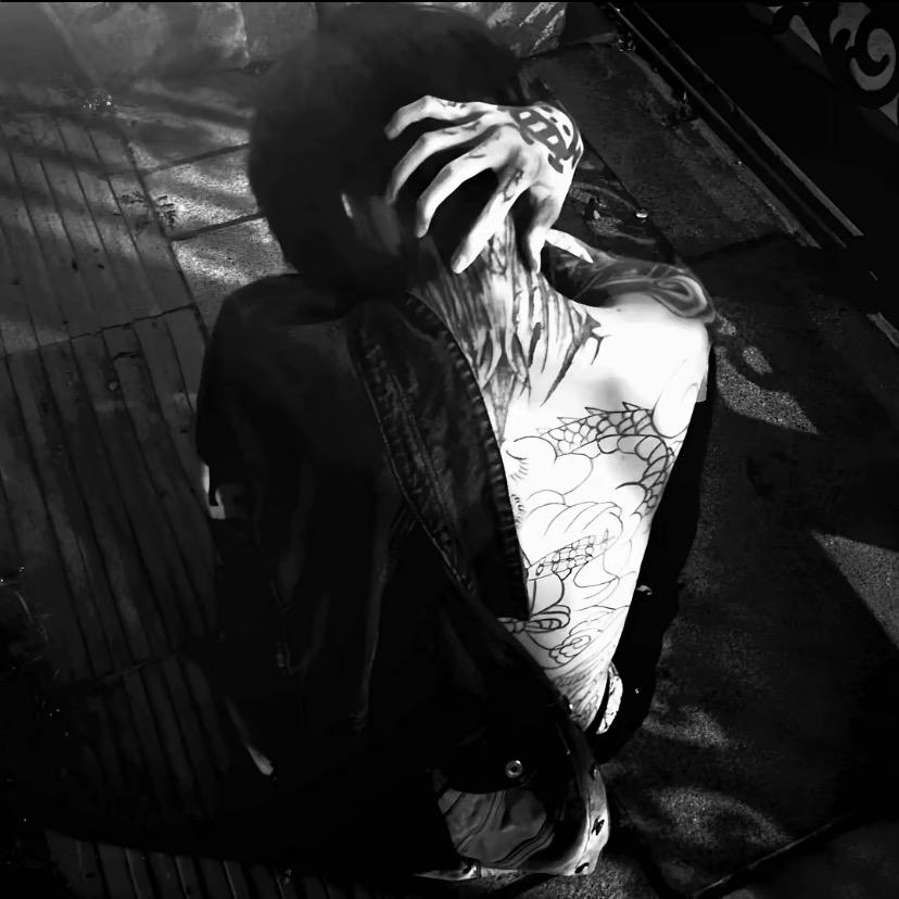 河南最后的小白象