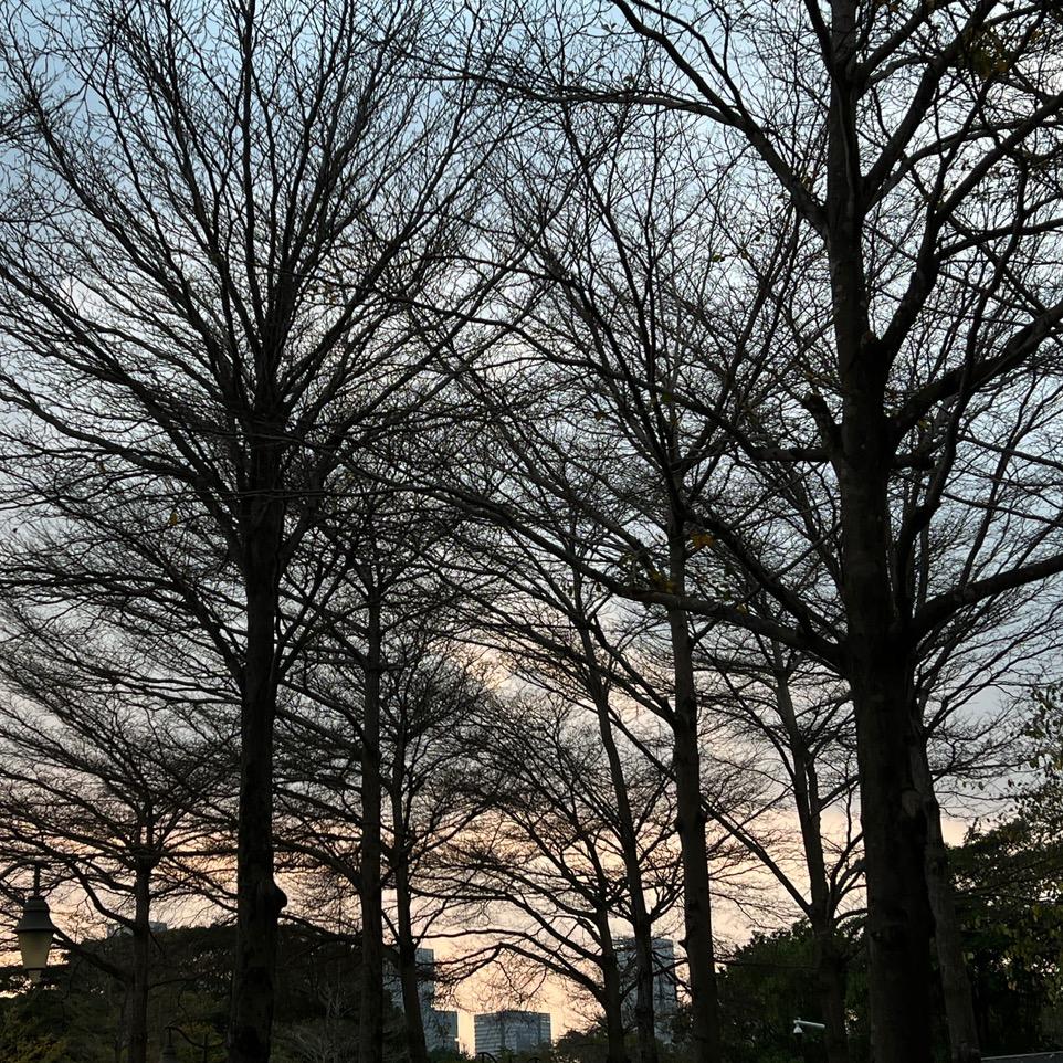 回-忆