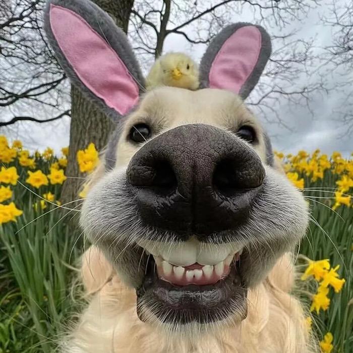 华子的日子（挂壁版）