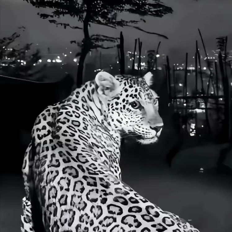 没钱买套用保鲜膜