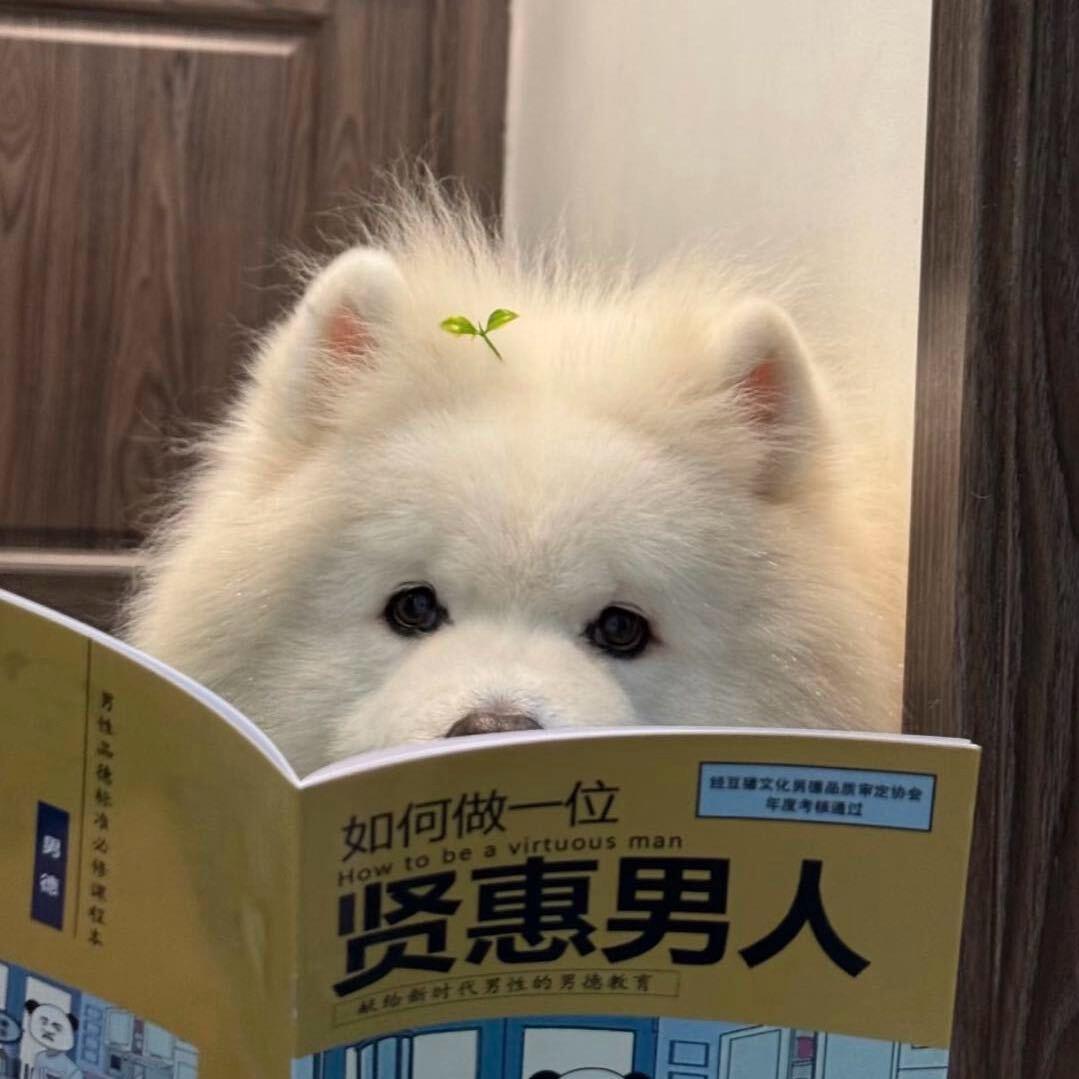 慕城