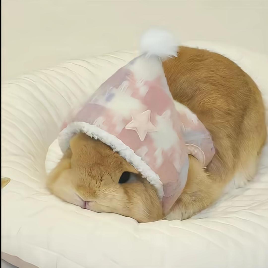 面疙瘩脑袋