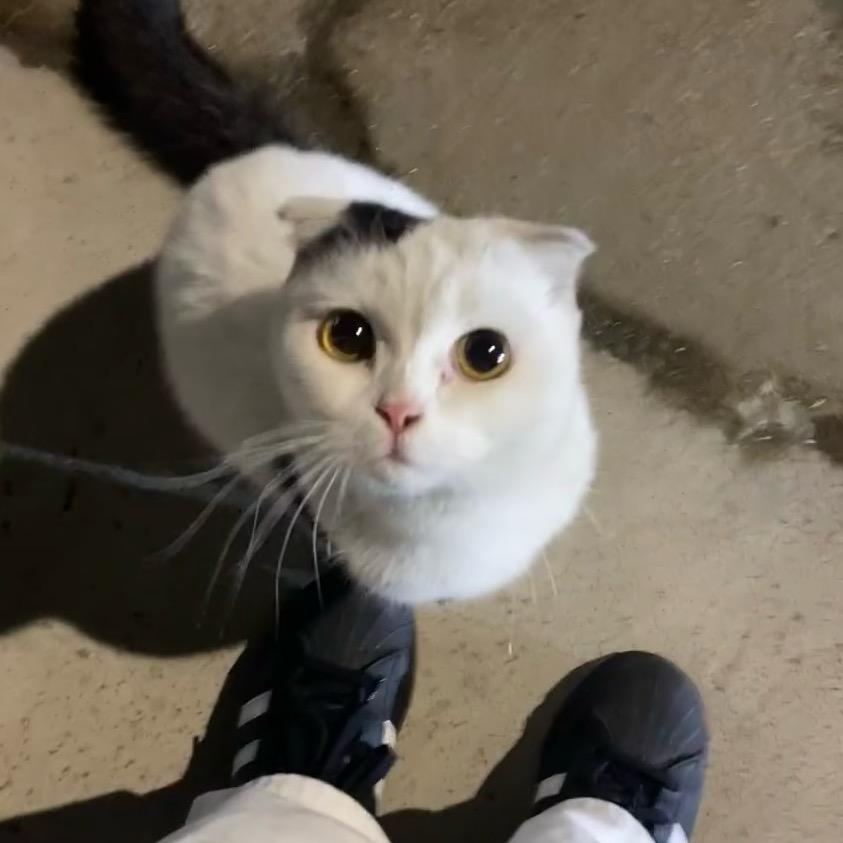 日复一日