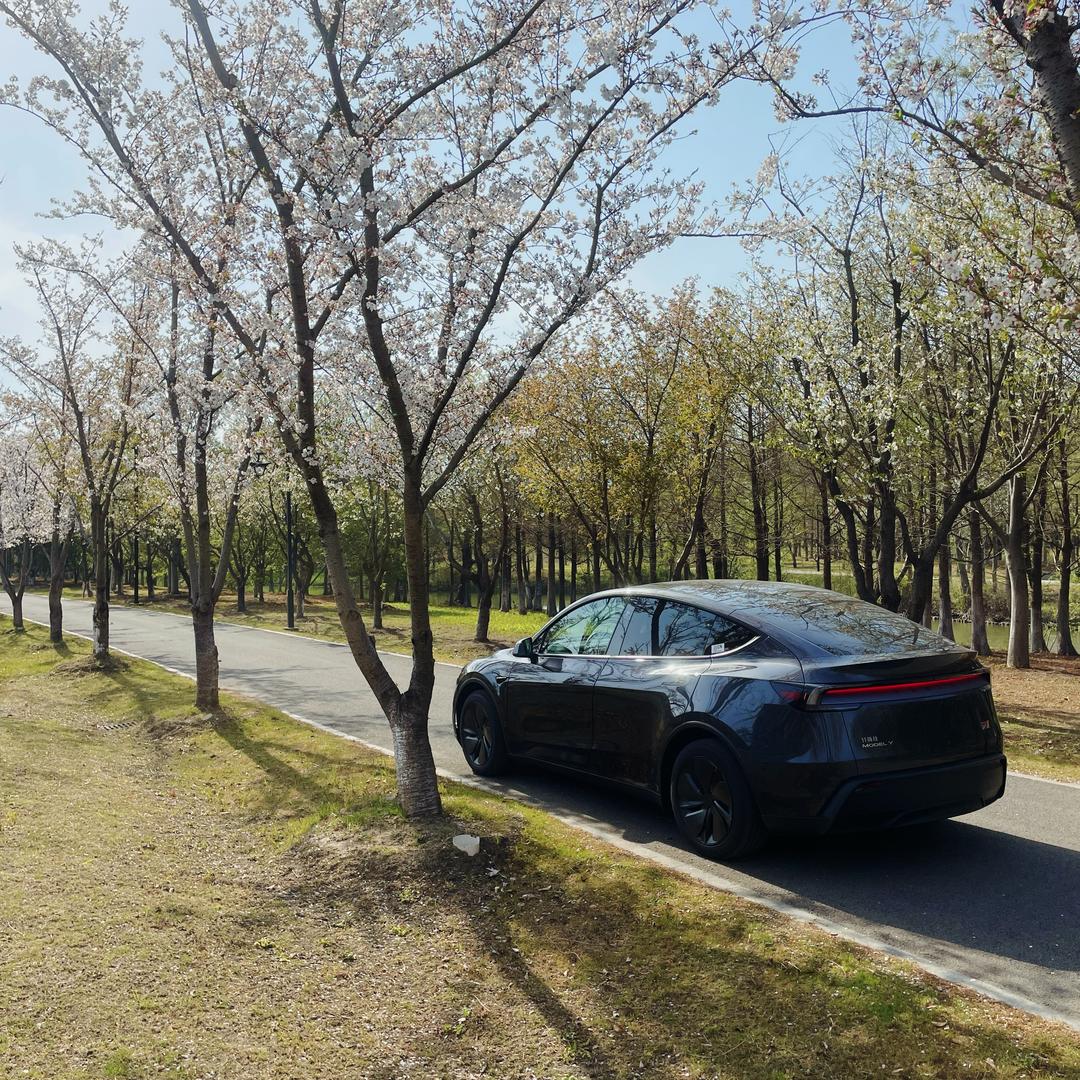 何立冬的model y