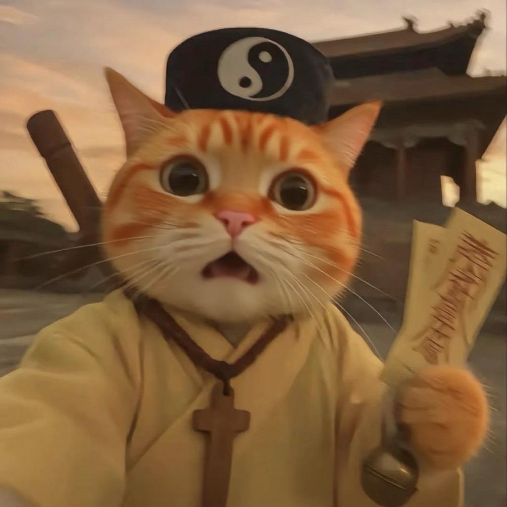🐈🐈