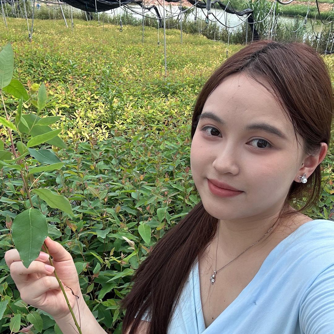 桉小夏-广林九号桉树中心苗圃