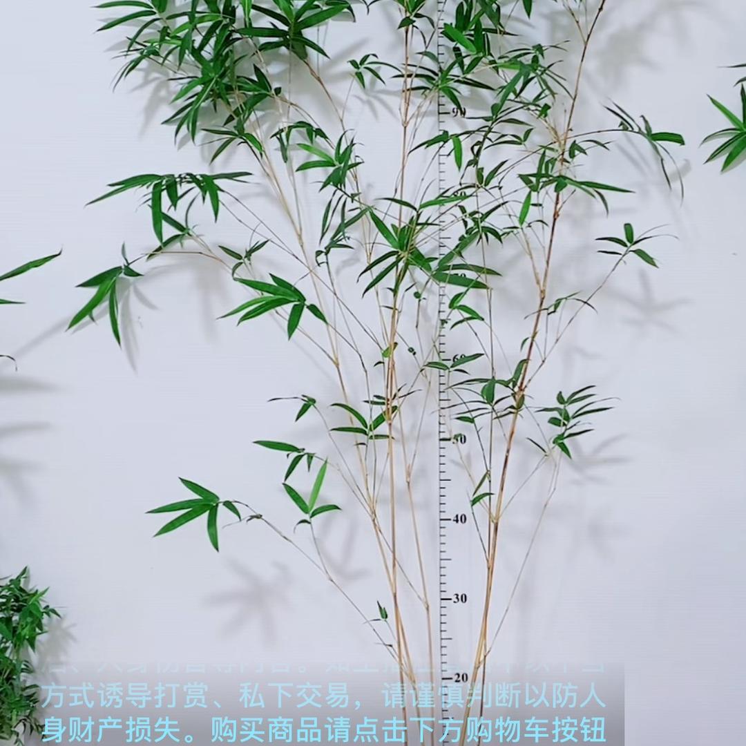 开心每一天