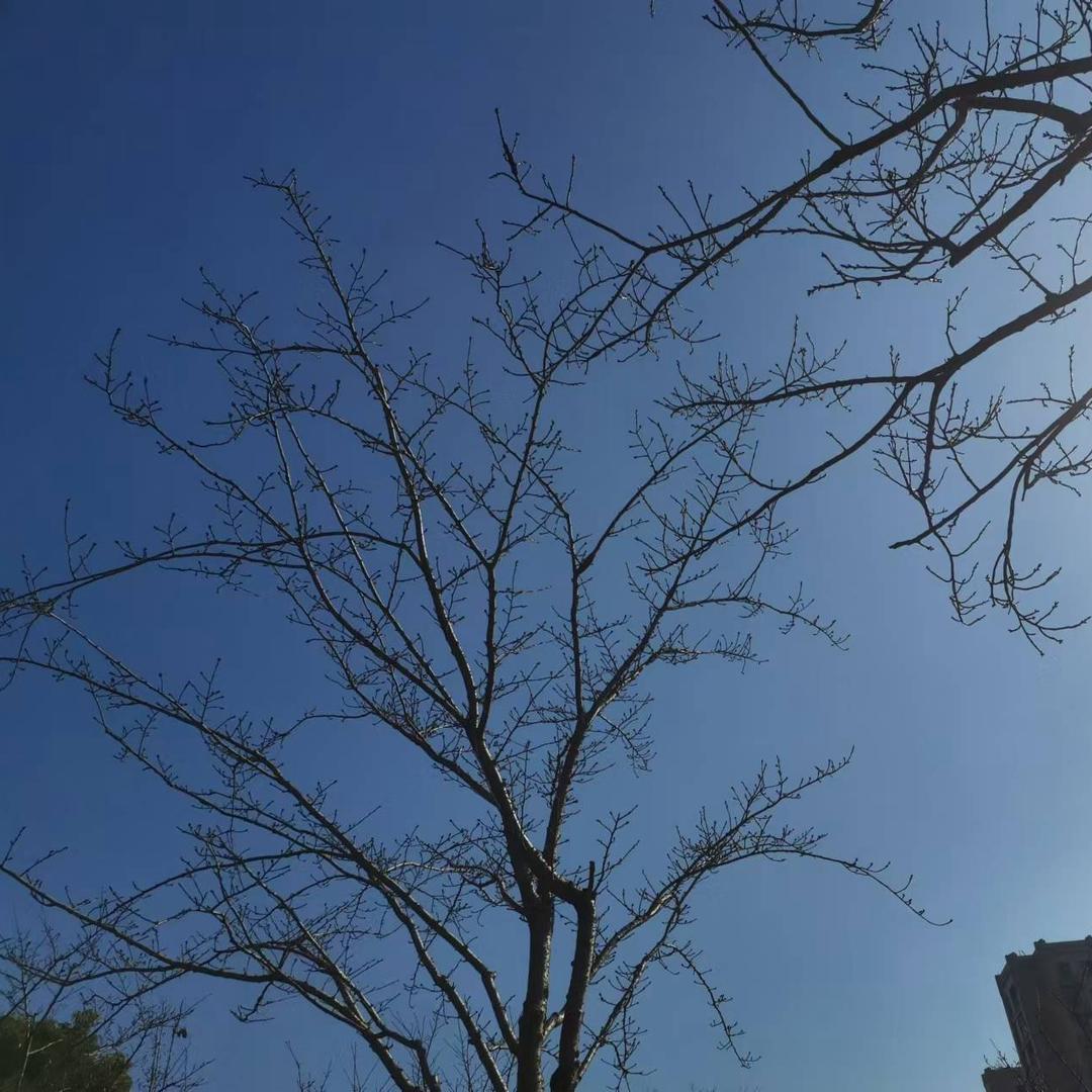 瀏黼鏮