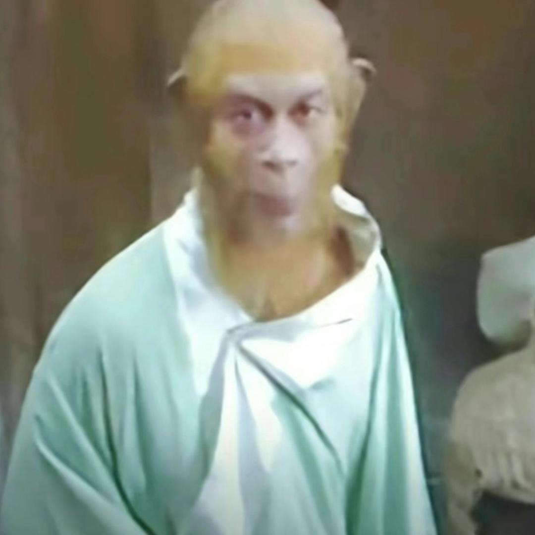 假老练