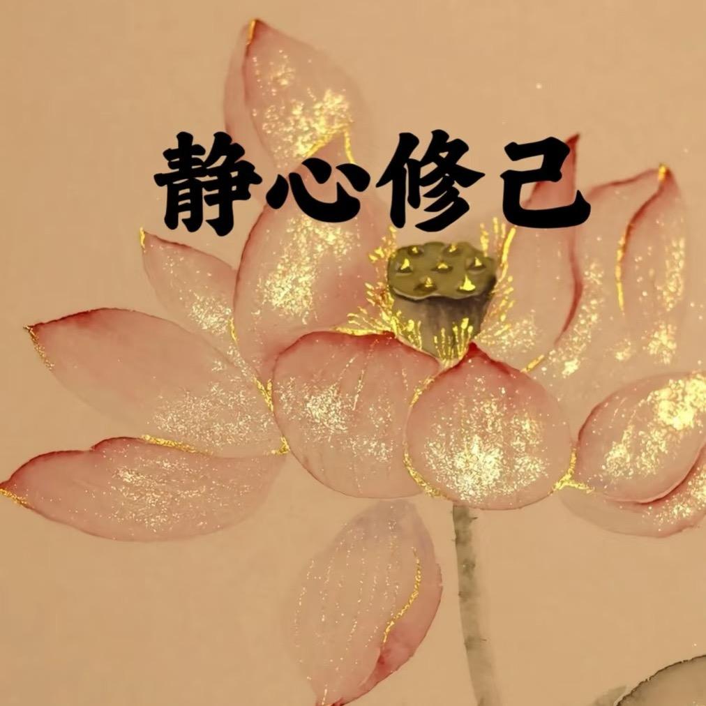 嗖小妖（皮肤管理）