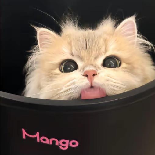 bb
