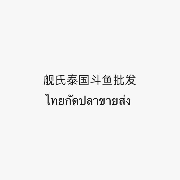 舰氏泰国斗鱼批发