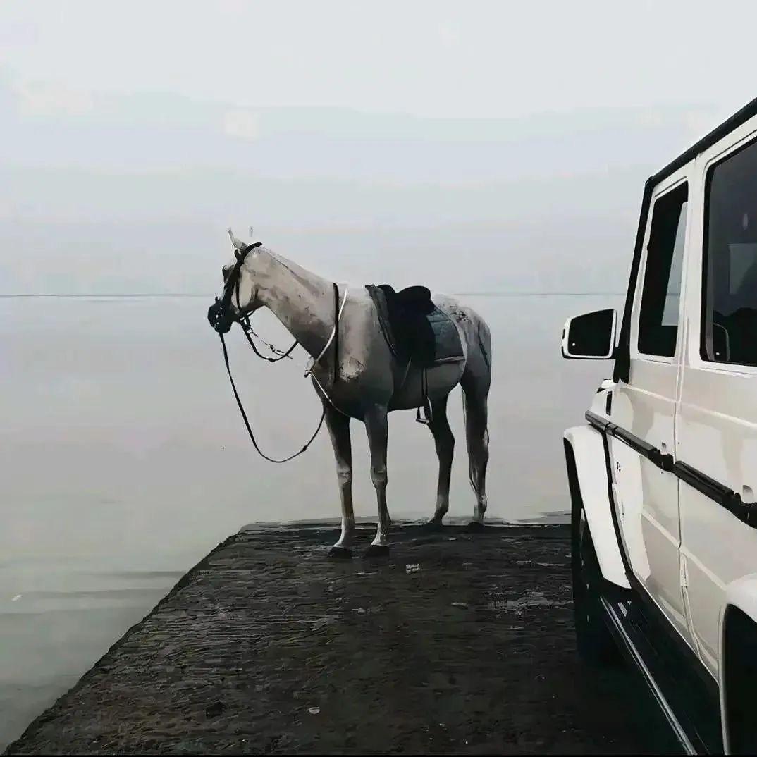 L.🐼