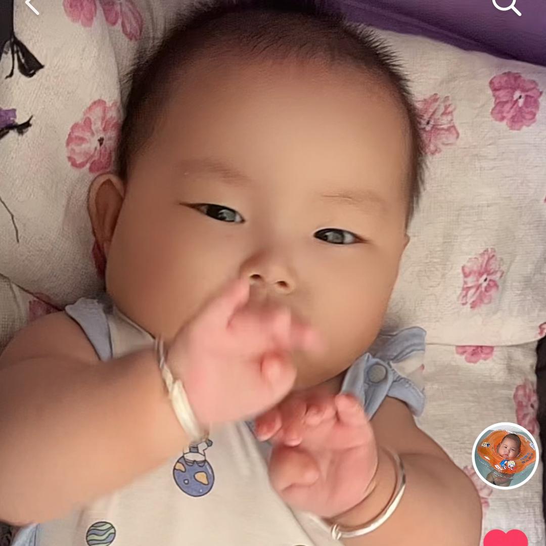 饭团儿
