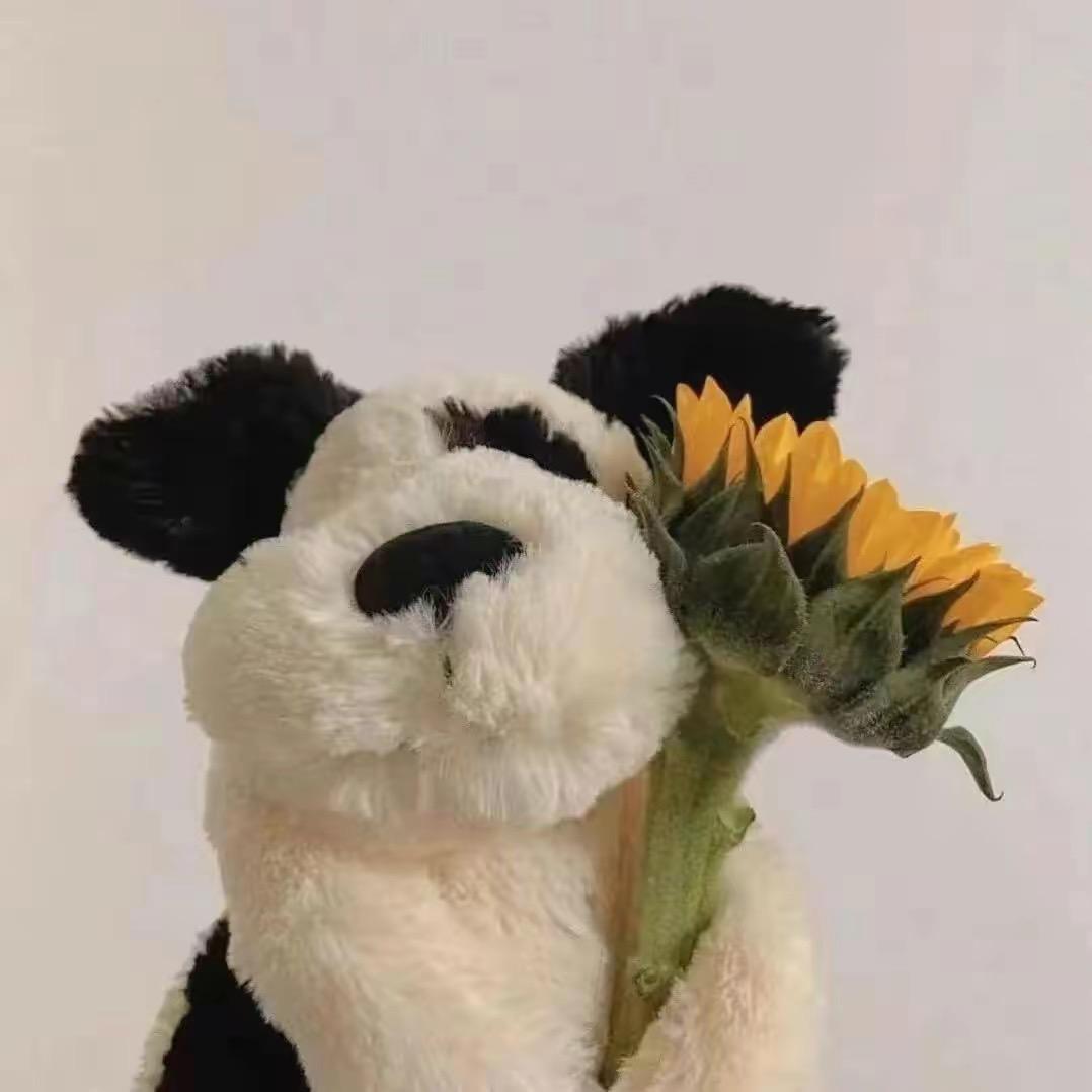 宸