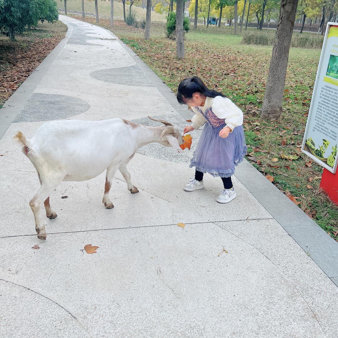 小李在许昌