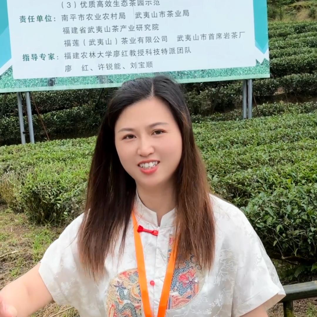 政和茶姑娘小店