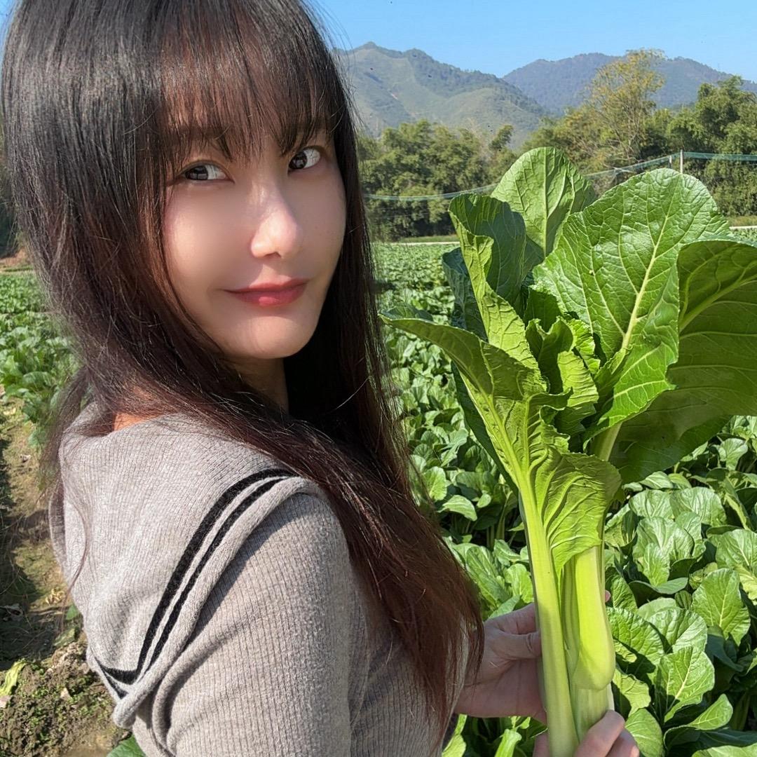 连州菜菜子🥬