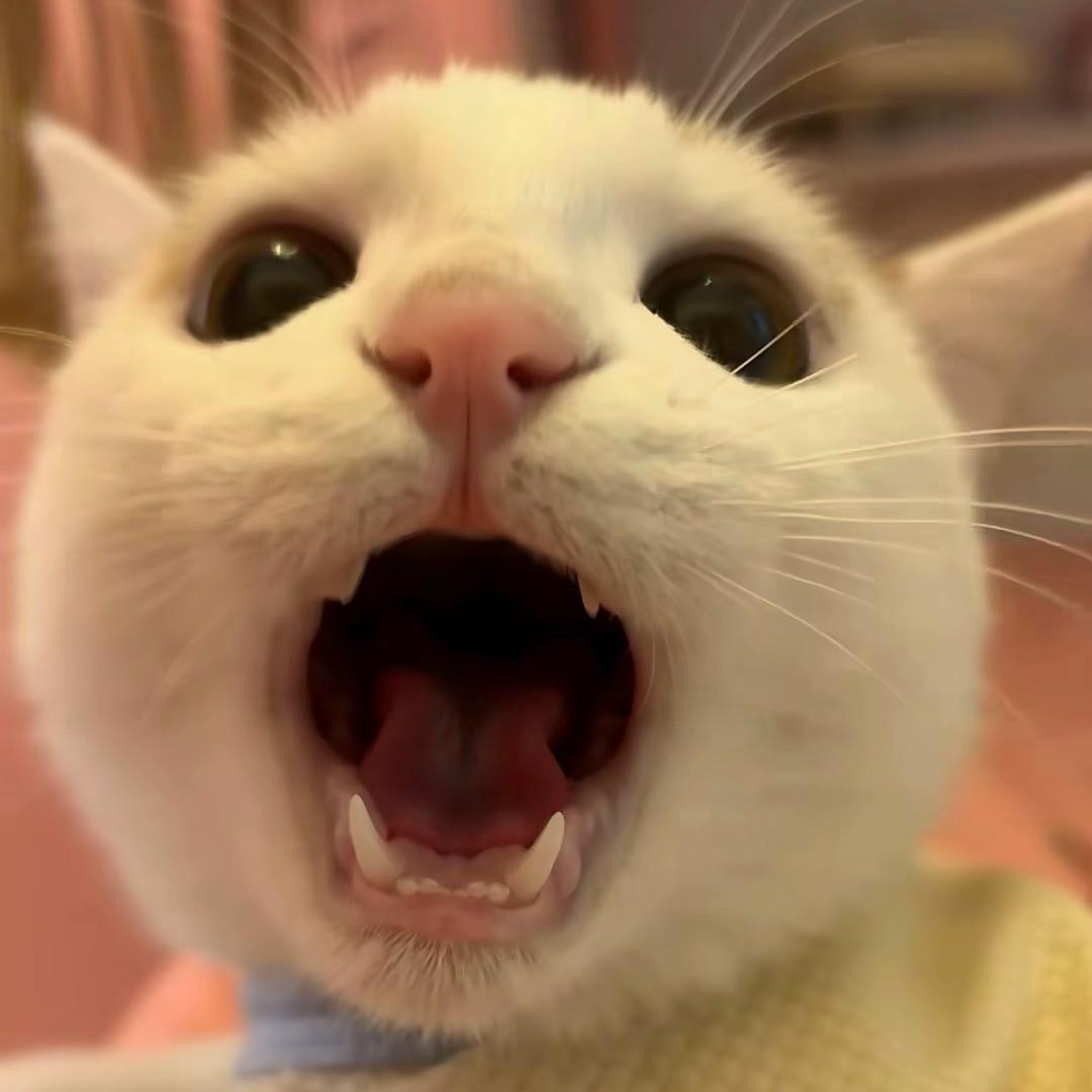 有没有搞错