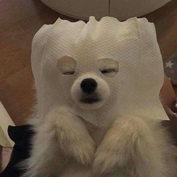 啊汤啊汤