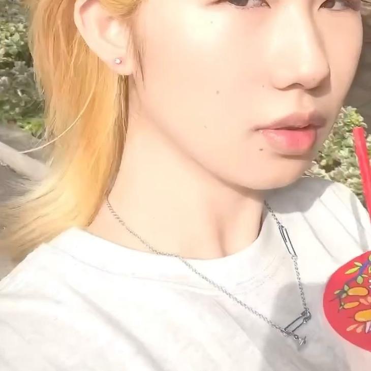 面包的成长记录