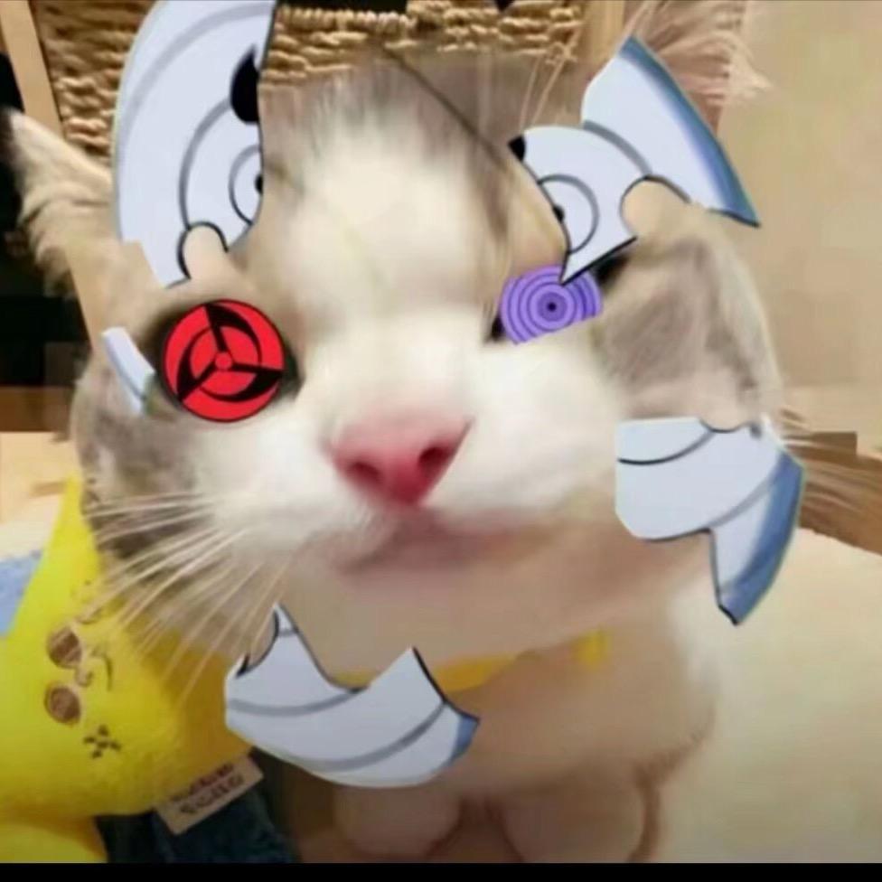 头要爆炸了
