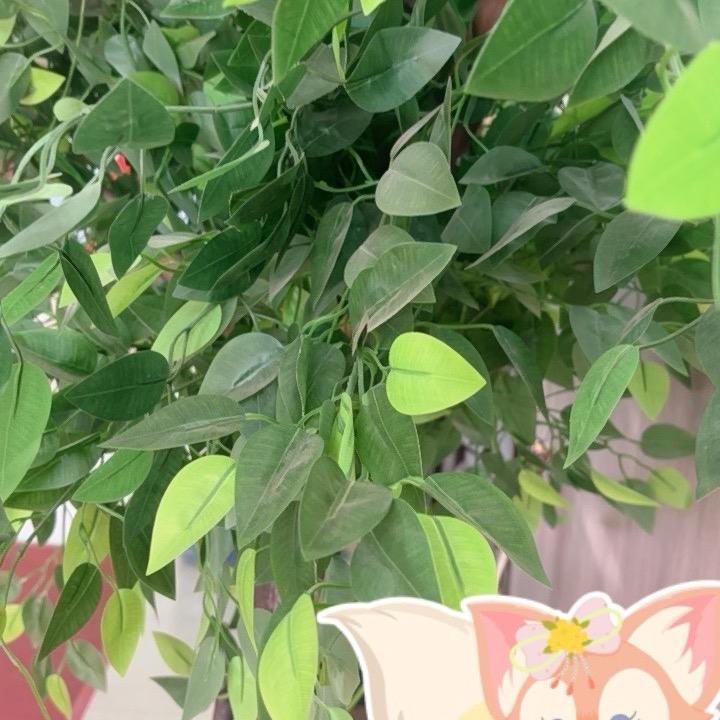 旅游