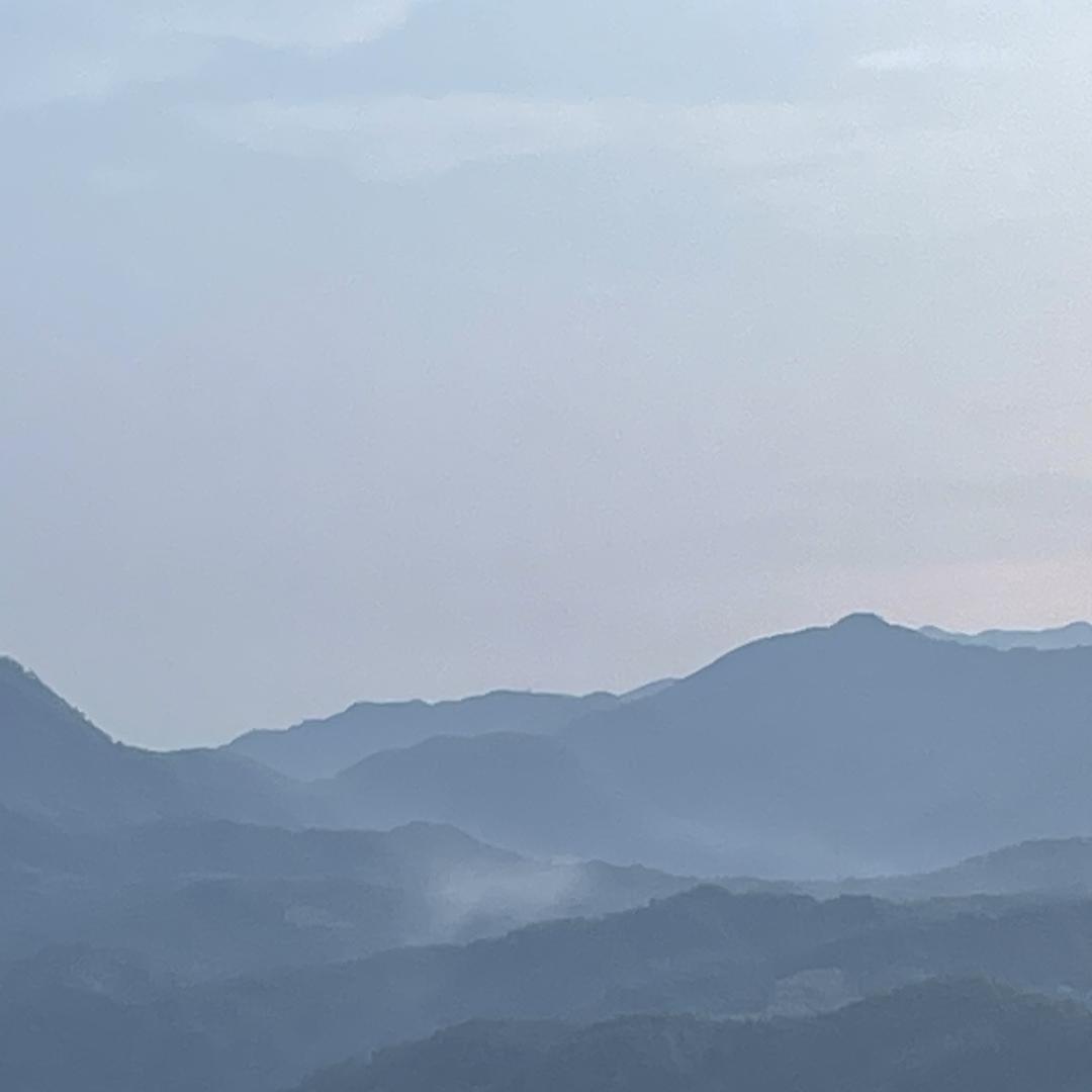 叶映朝阳