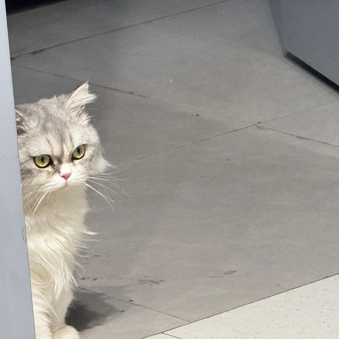 唱不上去的米粒太