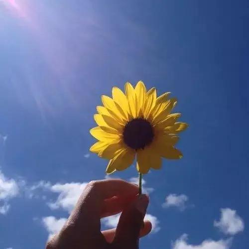 河南快乐小阿龙