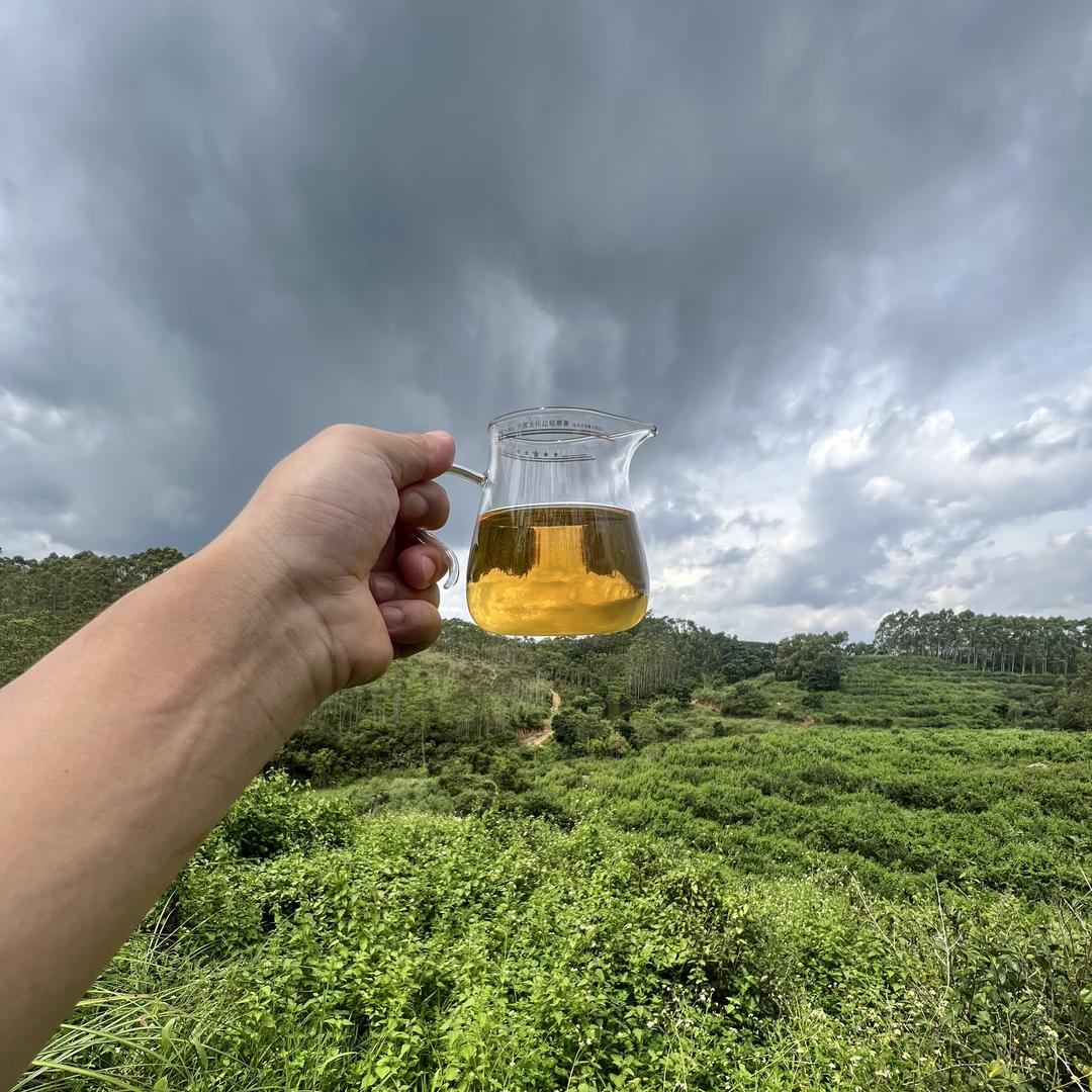 老林红姐手工茶