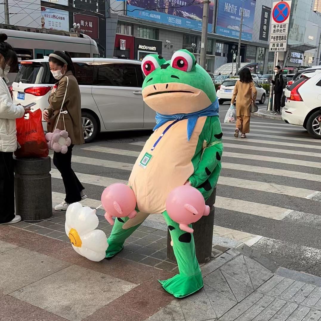 抓帅哥的🐸