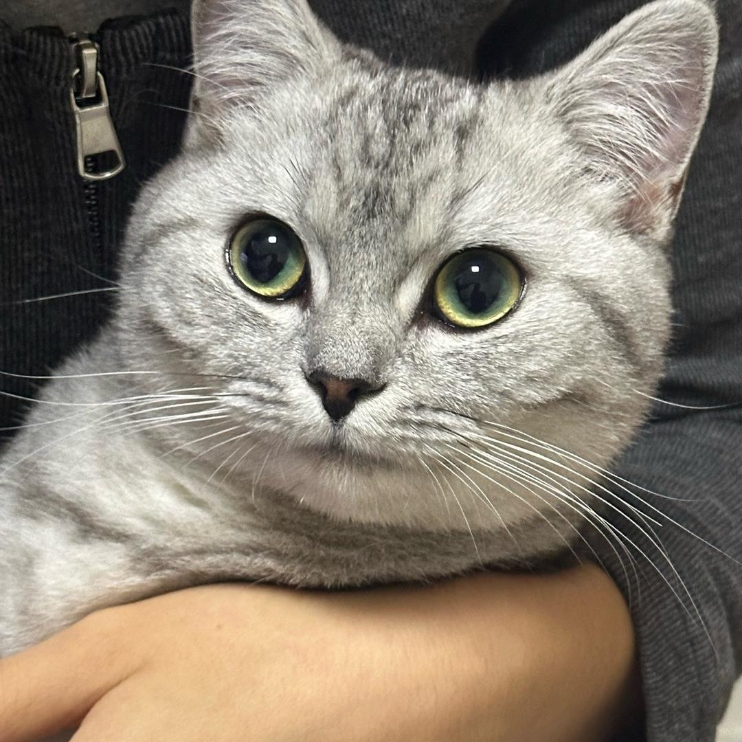 ❤️。