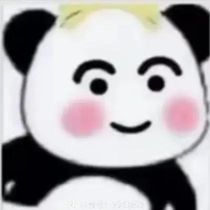 熊小宝001