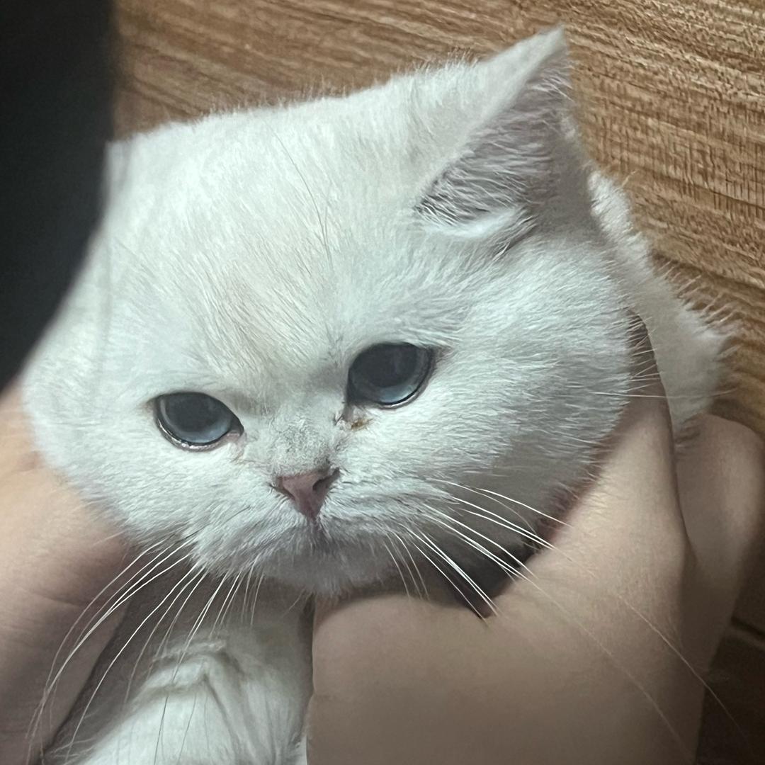 又又回来了