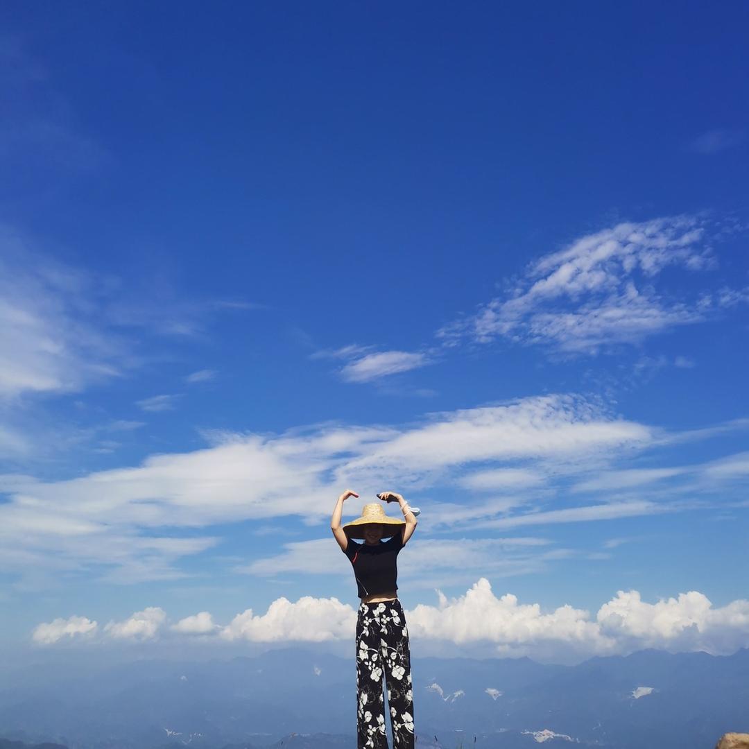 ➿有李说不清🫣