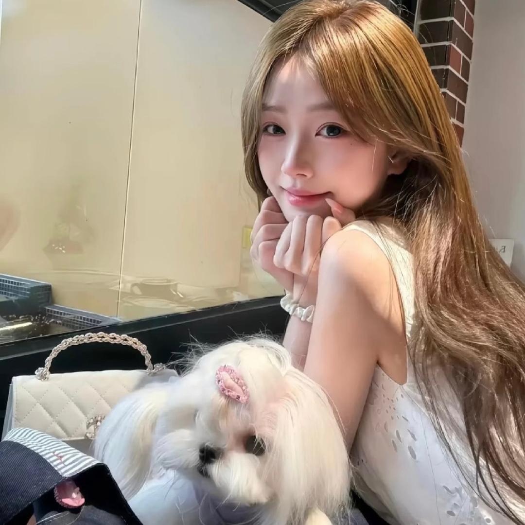 kitty🐱